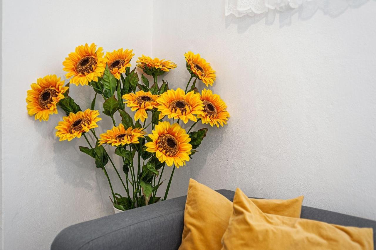 Apartamento Los Girasoles Вьер де ла Фронтера Экстерьер фото